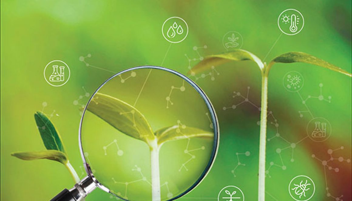 Bioinsumos_Agricultura_PT