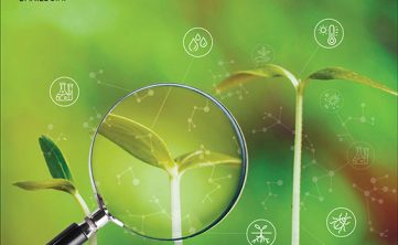 Bioinsumos_Agricultura_PT